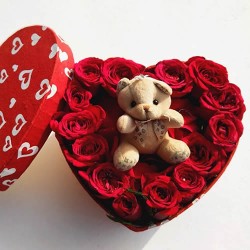 Teddy and roses inside the gift box